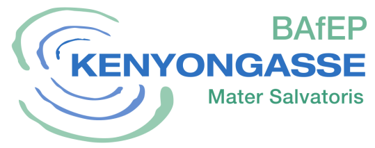BAfEP Logo